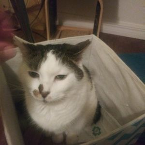 Meet your Posher, Courtney